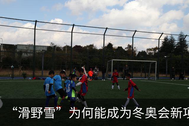 “滑野雪”为何能成为冬奥会新项目