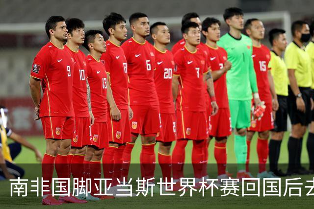 南非国脚亚当斯世界杯赛回国后去世